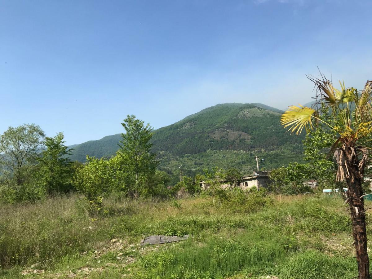 Ainar Hotel Gagra Esterno foto