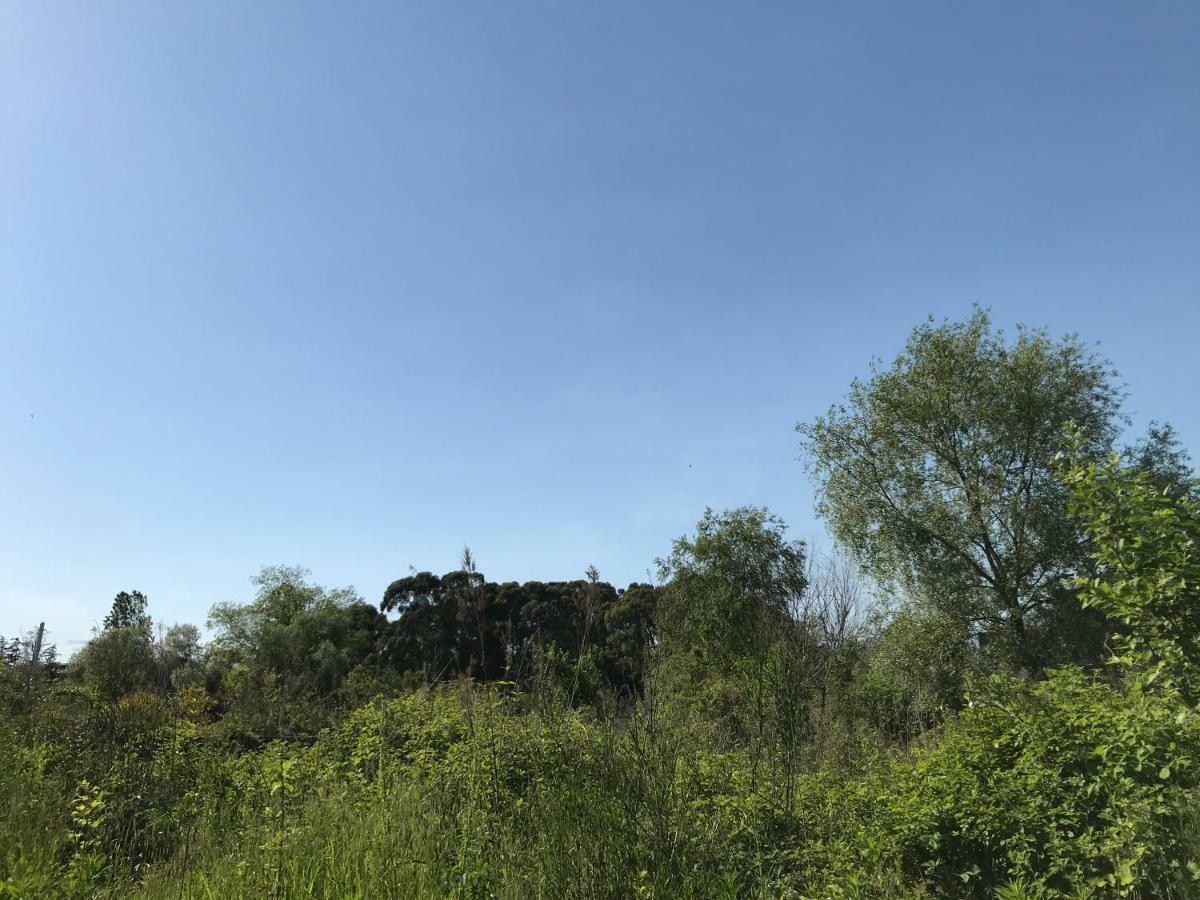 Ainar Hotel Gagra Esterno foto